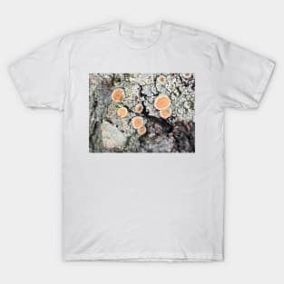 Lichen on a tree bark T-Shirt